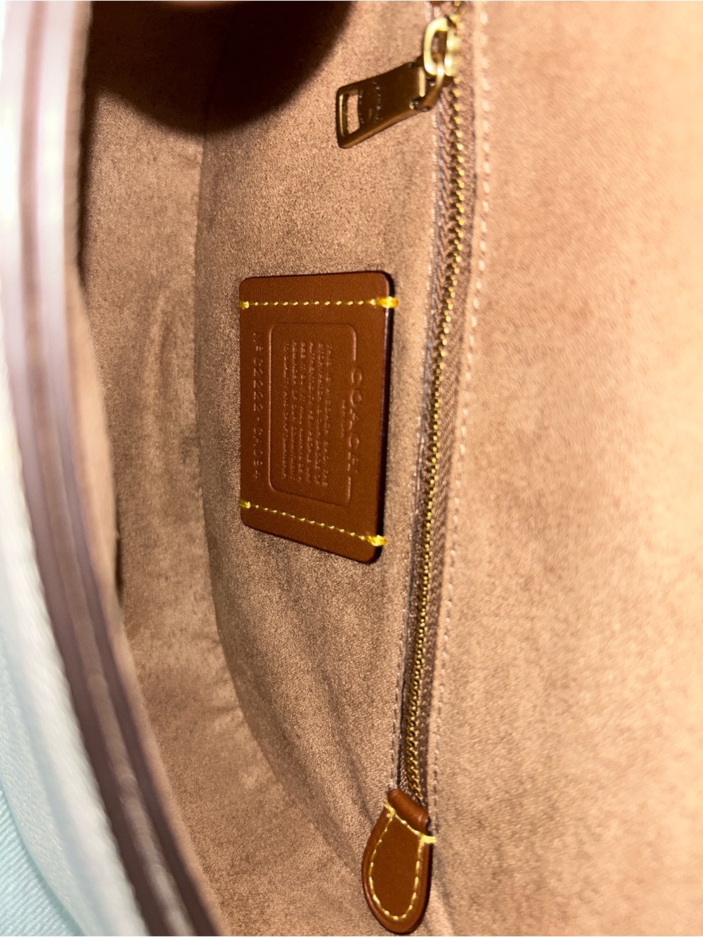 Coach Chalk Pebbled Leather Floral Appliqué Crossbody Bag with Gold Hardware - Picture 6 of 11